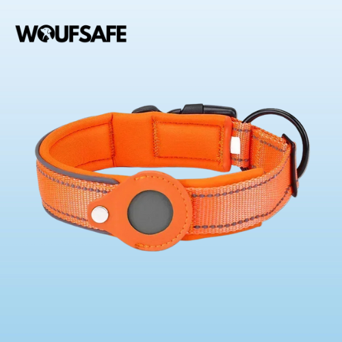 Collar with Waterproof AirTag Case