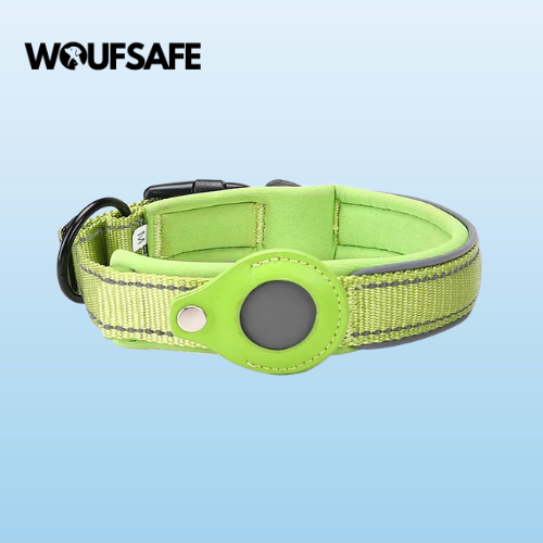 Collar with Waterproof AirTag Case
