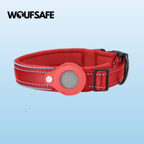 Collar with Waterproof AirTag Case