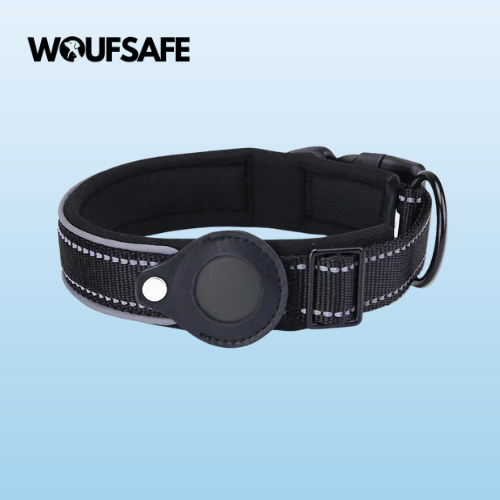 Collar with Waterproof AirTag Case
