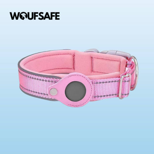 Collar with Waterproof AirTag Case