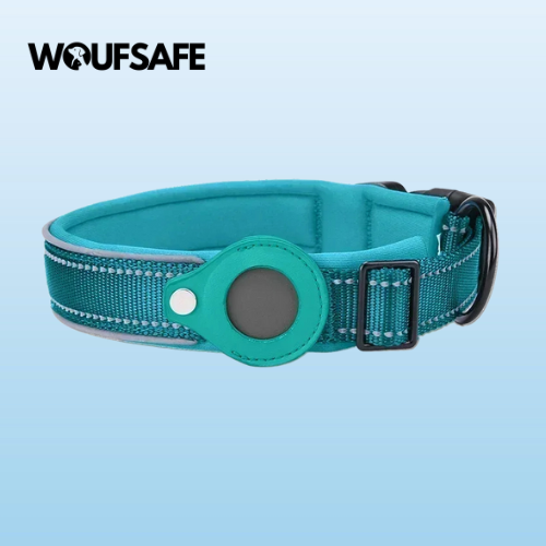 Collar with Waterproof AirTag Case