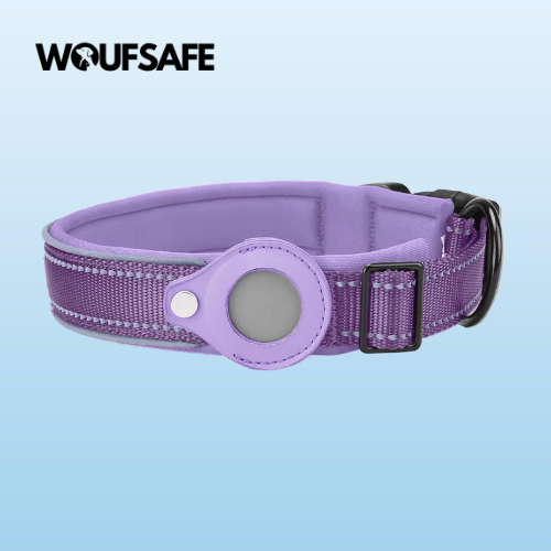 Collar with Waterproof AirTag Case