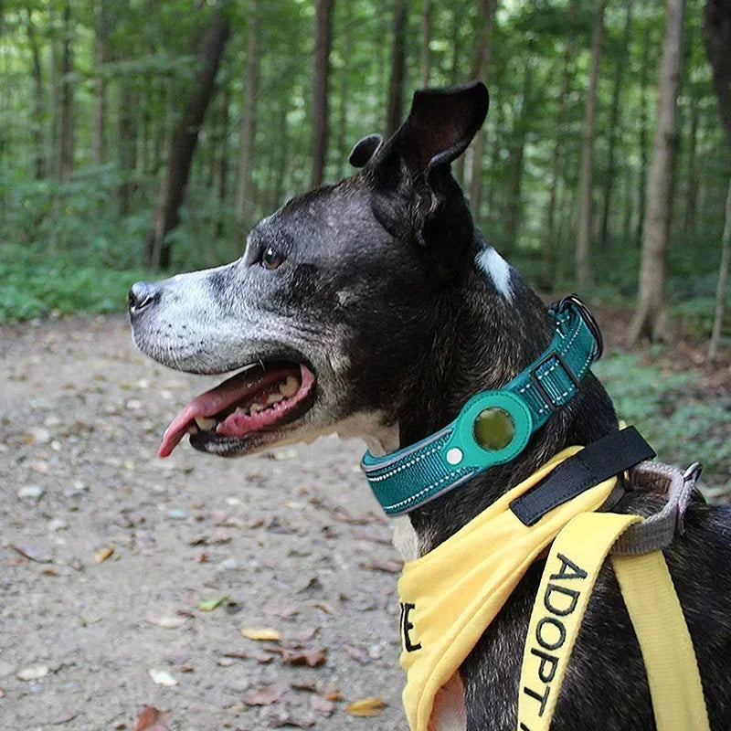 Collar with Waterproof AirTag Case