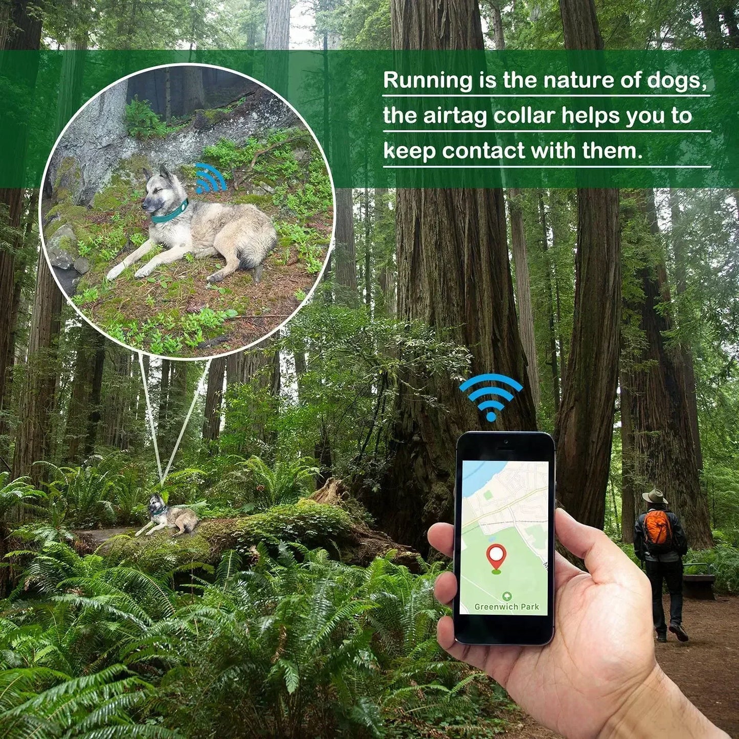 Collar with Waterproof AirTag Case