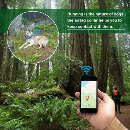 Collar with Waterproof AirTag Case